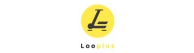 LOOPLUS SERVICE TECHNOLOGY INC