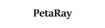 PetaRay Inc.