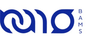 瑞鑑航太科技股份有限公司 Bellwether Advanced Mobility Solutions Ltd.